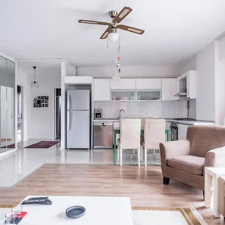 Stylish And Cozy Flat In Maltepe *