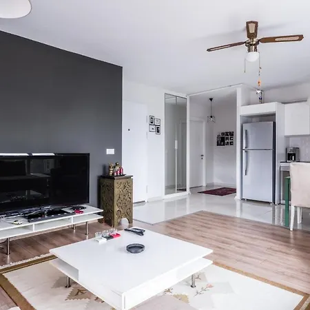 Stylish And Cozy Flat In Maltepe アパート